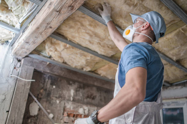 Best Energy Efficiency Insulation in World Golf Village, FL