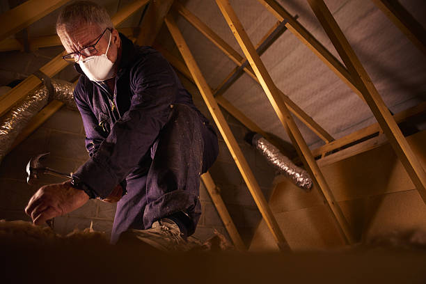  World Golf Village, FL Insulation Contractor Pros