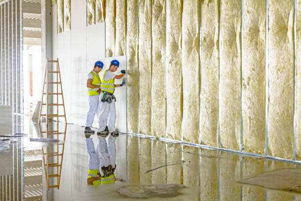 Best Specialized Insulation Services in World Golf Village, FL